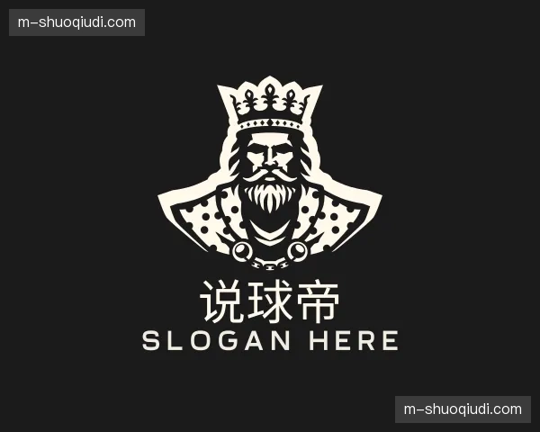了解说球帝官网
